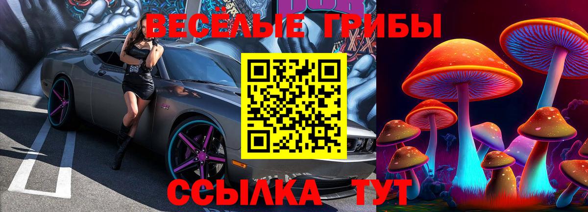 Тайшет  Галлюциногенные грибы Psilocybe  Вход с VPN 