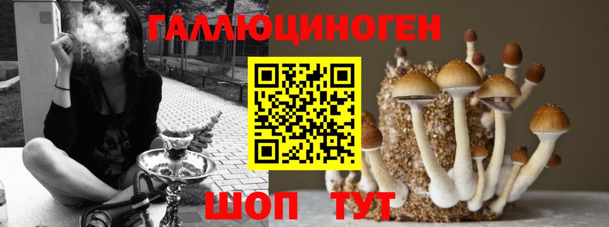 Галлюциногенные грибы MAGIC MUSHROOMS Тайшет